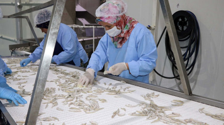 Yozgatta üretiliyor Avrupada yok satıyor