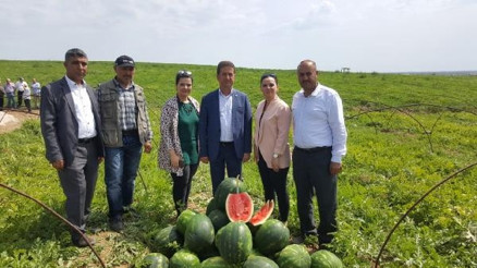 Doğan: Karpuz ihracatı çiftçinin yüzünü güldürdü