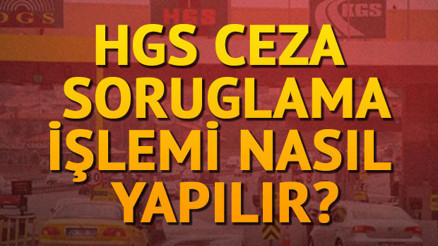 HGS ceza sorgulama ve bakiye işlemleri nasıl yapılır