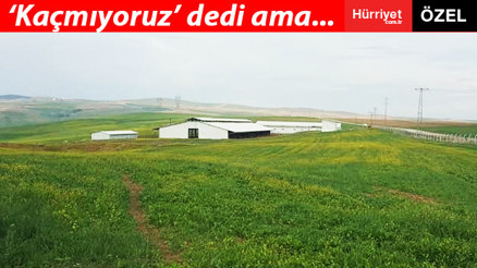 İkinci ‘Çiftlik Bank’ için MASAK devreye girdi hesaplara bloke konuldu İkinci ‘Çiftlik Bank’ için MASAK devreye girdi hesaplara bloke konuldu