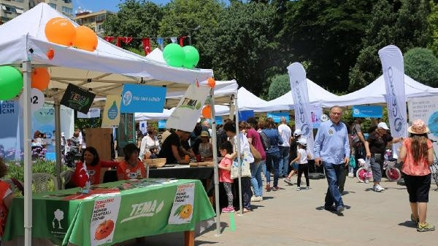 Türkiyenin çevrecileri Kadıköy Çevre Festivalinde bir araya geldi
