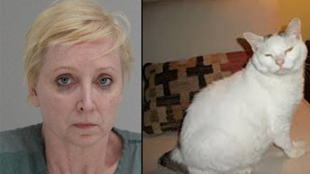 Ülke şokta Kedisi için kocasını öldürdü...