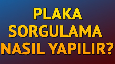 Araç plaka sorgulaması nasıl yapılır E Devlet plaka sorgulama işlemi