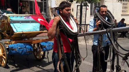 Büyükadada ilginç görüntüler