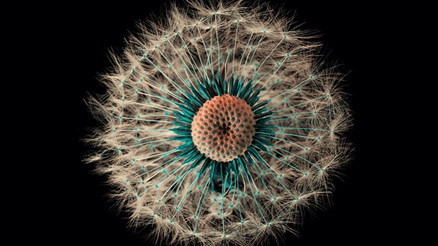 Bilişimin Oscarları için heyecanlı bekleyiş Bilişimin Oscarları için heyecanlı bekleyiş