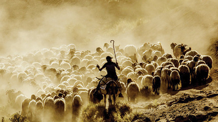 Hayvancılıkta dönüşüm şart Hayvancılıkta dönüşüm şart