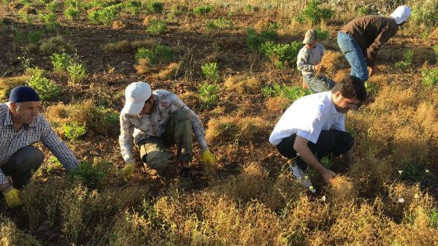 Vekillik bitince, köydeki tarla işlerine döndü