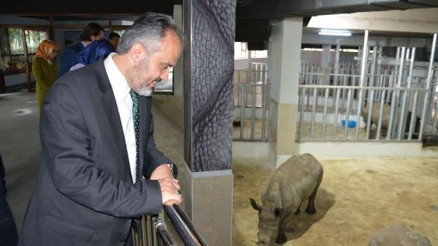 Bursa Zoonun yeni konukları gergedanlar