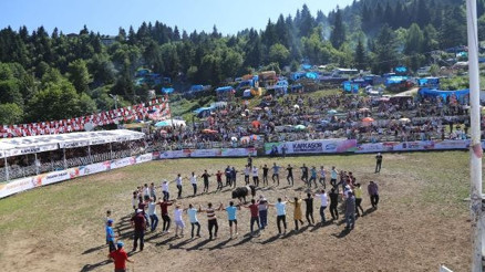 Kafkasör boğa güreşleri başladı