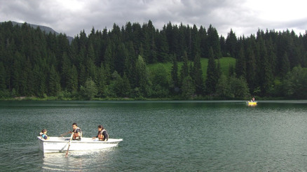 Yeşilin binbir tonu: Karadeniz