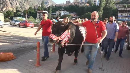 Kafkasörde Baş Pehlivan Küçük Enişte oldu