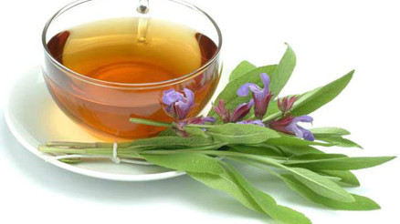 Adaçayı ne için kullanılır Adaçayının faydaları