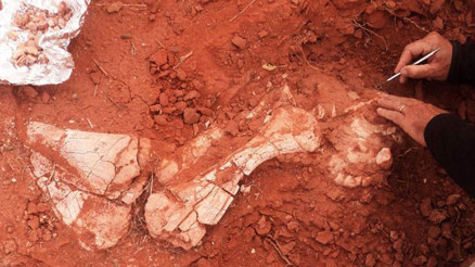 Arjantinde bulundu... Tam 200 milyon yıl öncesinden