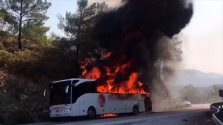 Otobüs yangını ormana sıçradı