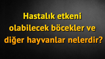 Hastalık etkeni olabilecek böcekler ve diğer hayvanlar nelerdir