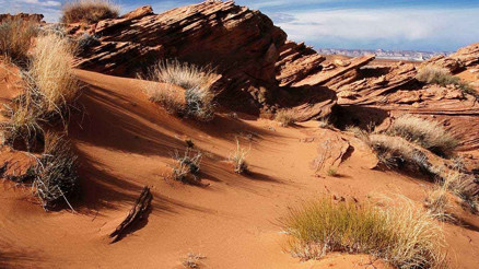 Dünyanın en büyük çölü nerededir