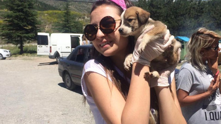 Yüzlerce sokak köpeğinin evi: Patiliköy