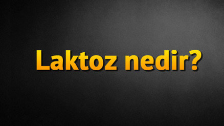 Laktoz nedir