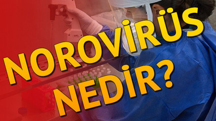 Norovirüs enfeksiyonu nedir Norovirüs enfeksiyonu belirtileri Norovirüs enfeksiyonu nedir Norovirüs enfeksiyonu belirtileri