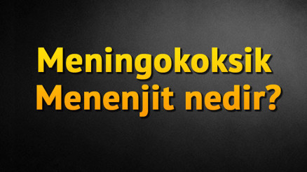 Meningokoksik Menenjit nedir