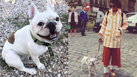 Bozcaadada ortadan kaybolan Lindyyi bulamıyor