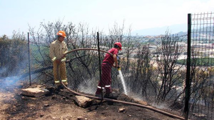 Kumlucada orman yangını büyümeden söndürüldü