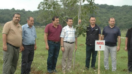 30 yıl önce el koyulan arazi, köylülere ceviz bahçesi olarak verildi