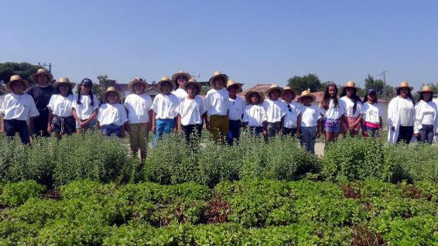 Çocuklar, akıllı köyde tarım eğitimi aldı