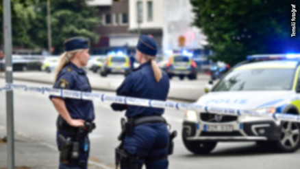 İsveç polisi elinde oyuncak silah bulunan otistik gencin kolunu kırmış
