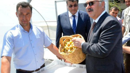 İncir üreticilerine kurutma tüneli desteği