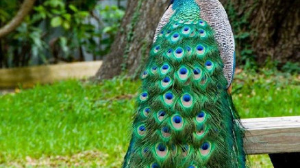 Doğal Yaşam Parkı ailesi genişliyor