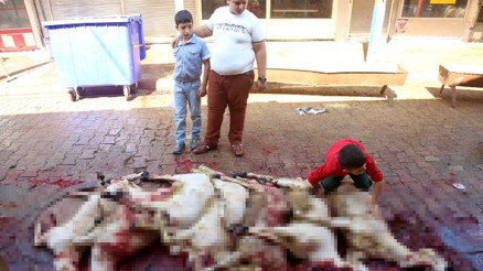 Kurban kesimini izleyen çocuk, sevdiklerini kaybetmekten korkuyor