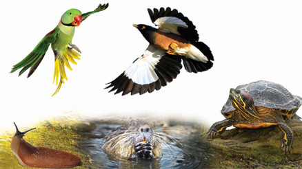 Karadan denizden istila altındayız Karadan denizden istila altındayız