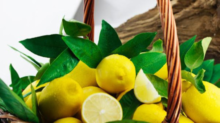 Ege Bölgesi narenciye rekoltesinde rekor artış