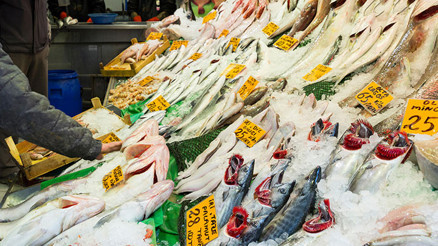 Eylül ayında yiyebileceğiniz balıklar