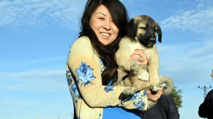 Turistlerin Kangal köpeği ilgisi