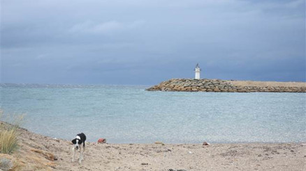 Son dakika... Enezden acı haber 5 kişi öldü