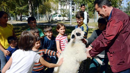 Kartopu sayesinde kütüphane ile tanışıyorlar