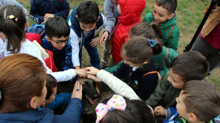 Minik öğrenciler, hayvan hastanesi açılışında köpekleri sevdi
