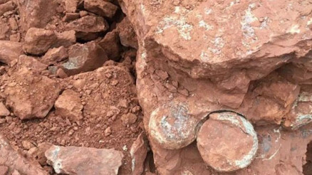 Çin’de içinde 15 yumurta olan 80 milyon yıllık dinozor yuvası keşfedildi