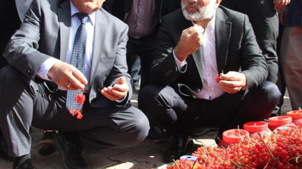 Kayseride Gilaburu ve Ceviz Festivali
