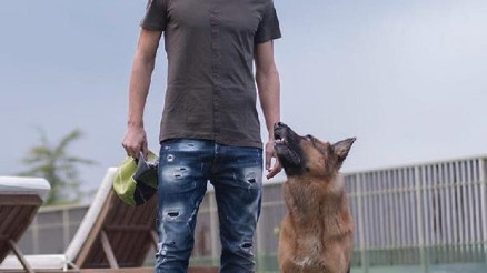 Gökhan İnler sokaktaki canlılara el attı