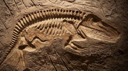 Moğolistanda 120 milyon yıllık dinozor fosili bulundu