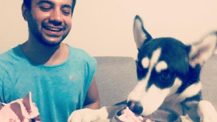 Köpeğini kurtarmak isterken zehirlenen doktor taburcu oldu