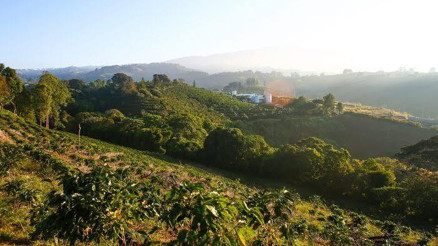 Gurme kahvenin adresi Kosta Rika