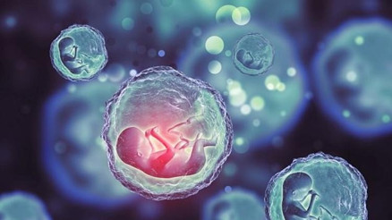 Sperm bağışına, bu yöntemi özendirene 5 yıl hapis