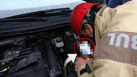 Taksim Meydanında kedi kurtarma operasyonu