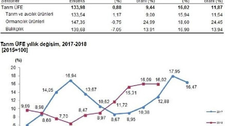 Tarım ÜFE Ekim’de yıllık yüzde 16.02 arttı