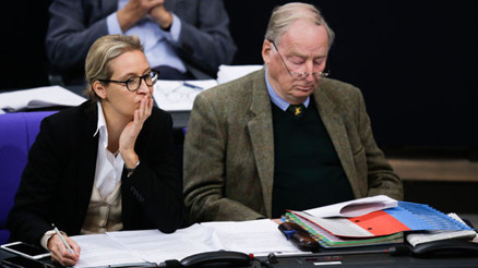 AfD lideri Weidel hakkında soruşturma açıldı