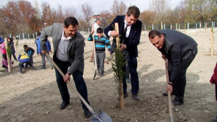 Korkutelide fidan dikimi